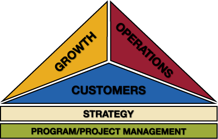 Vizability Business Strategy