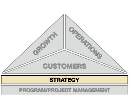 Lg-STRATEGY-w-drop-shadow